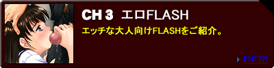 ����FLASH